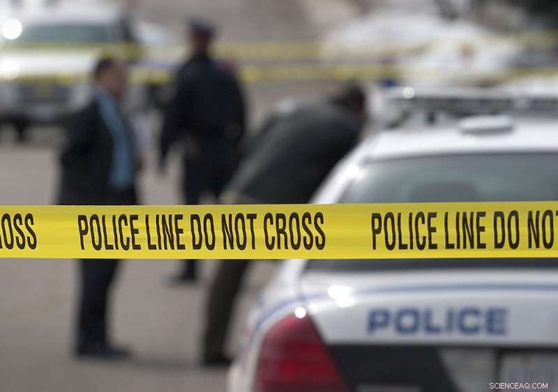 Study Reveals Homicide Rates Follow 55-Year Predictable Pattern