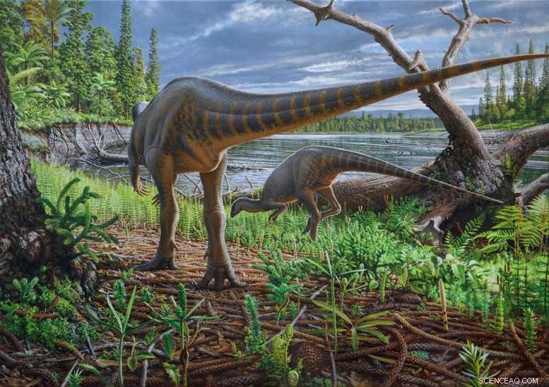 Turkey-Sized Dinosaur Unearthed in 113-Million-Year-Old Australian Log-Jam