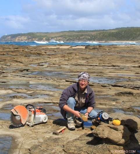 Turkey-Sized Dinosaur Unearthed in 113-Million-Year-Old Australian Log-Jam