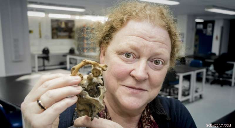 University of Dundee to Reexamine William Bury s Execution in Public Mock Trial