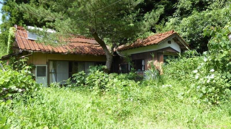 Japan Faces Extinction of 896 Towns and Villages by 2040: A Deep Dive