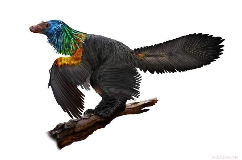 Newly Discovered Tiny Dinosaur’s Iridescent Crest Likely Dazzled Mates