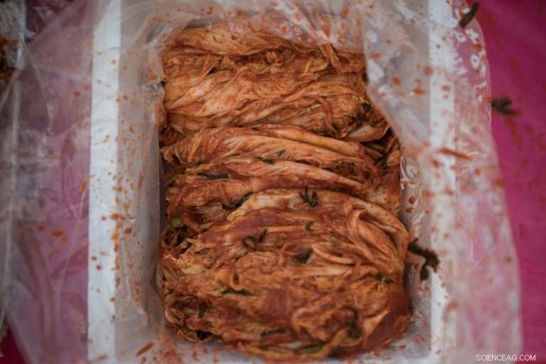 South Korea Faces Record Kimchi Trade Deficit Amid Rising Chinese Imports