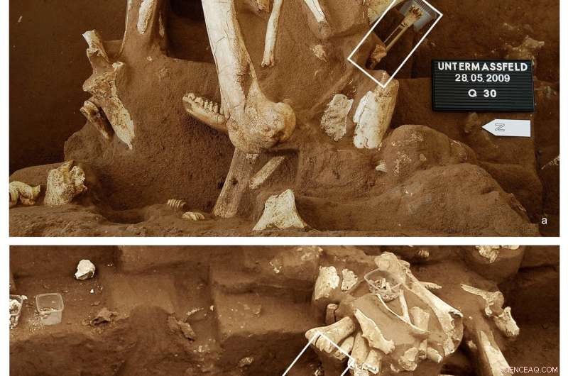 Study Challenges Theory on Early Human Migration Across Europe