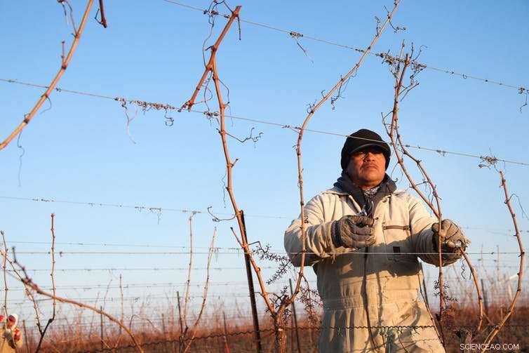 The Hidden Cost of Your Local Produce: A Closer Look at Fairness, Quality, and Worker Rights