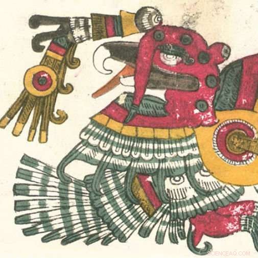 Study Uncovers Origins of Ancient Mexican Domestic Turkeys