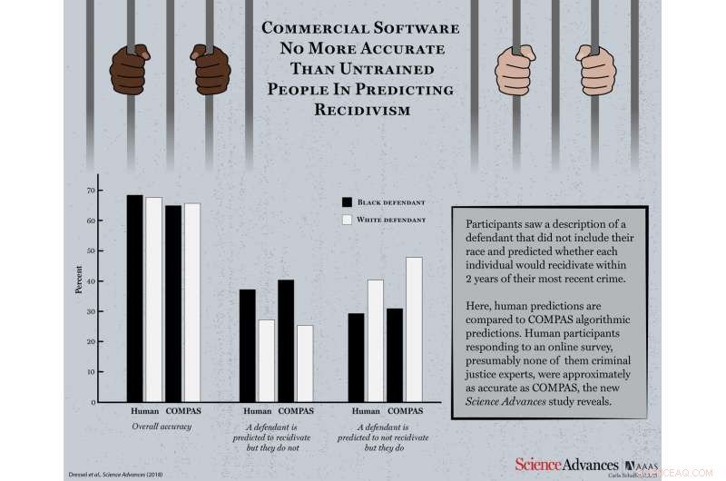 Court Risk Assessment Software Performs No Better Than Untrained Survey Respondents, Study Finds