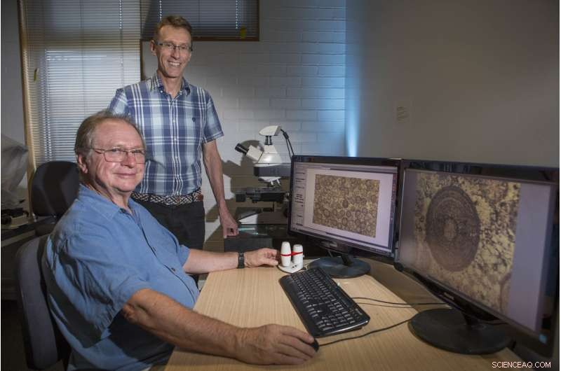 ANU Study Reveals Pentagon and Empire State Building Constructed from 340‑Million‑Year‑Old Microbial Limestone