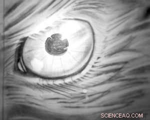 Leveraging Hawkeye from The Avengers to Simplify Eye Science