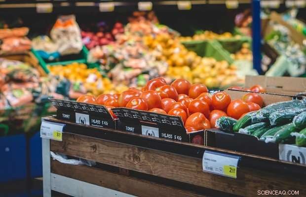 Study Reveals One-Third of Households Face Food Insecurity—Twice Prior Estimates