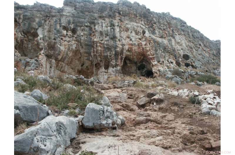 New Fossil Reveals First Modern Human Outside Africa, Dating Back 50,000 Years