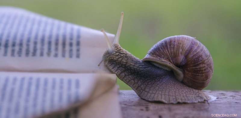 Slow Science: Enhancing Research Quality and Insight