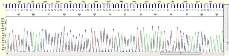 Australia s 2,000 Missing Persons and 500 Unidentified Remains: How a Dedicated DNA Lab Could Deliver Closure