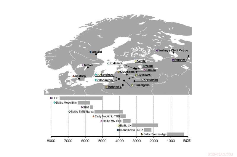 Unveiling Northern Europe’s Population History Through Ancient Genomes