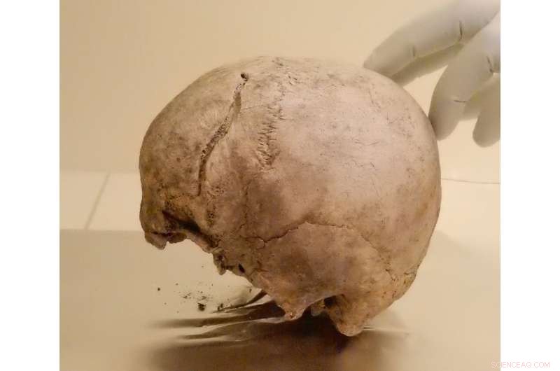 Unveiling Northern Europe’s Population History Through Ancient Genomes