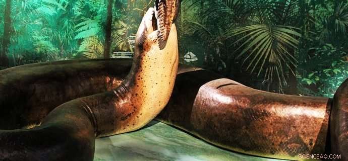 Snakes: Why Some Species Became Giant Reptiles