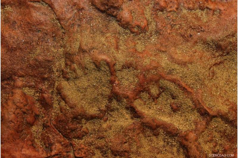 NASA s Goddard Center Reveals 70+ 100‑Million‑Year‑Old Dinosaur & Mammal Tracks