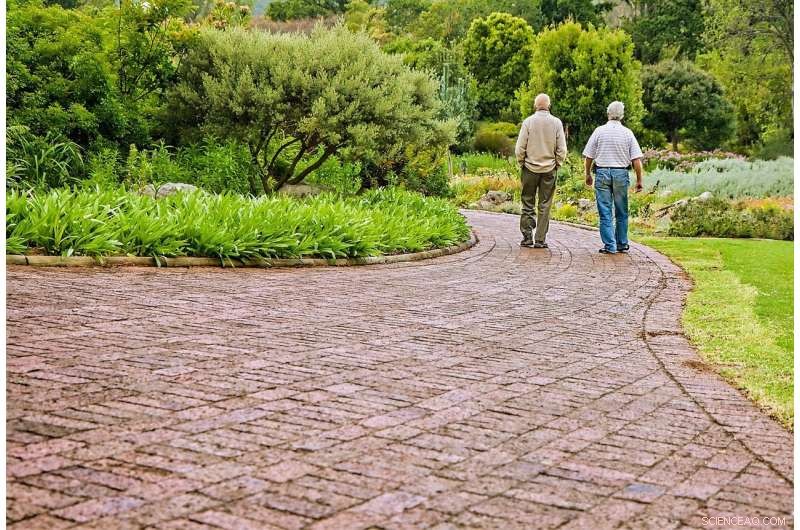 New Study Shows Brain Scans Can Identify Friendships by Detecting Shared Neural Patterns