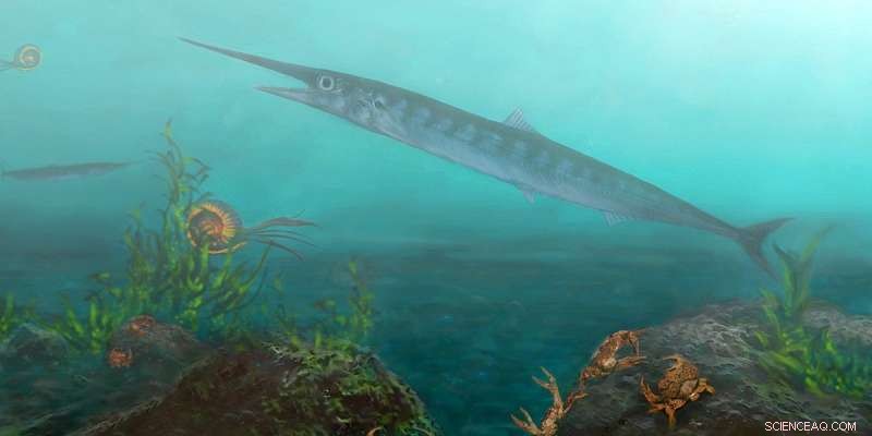 Young Explorer Aids Scientists in Unearthing 90‑Million‑Year‑Old Colombian Fish Species