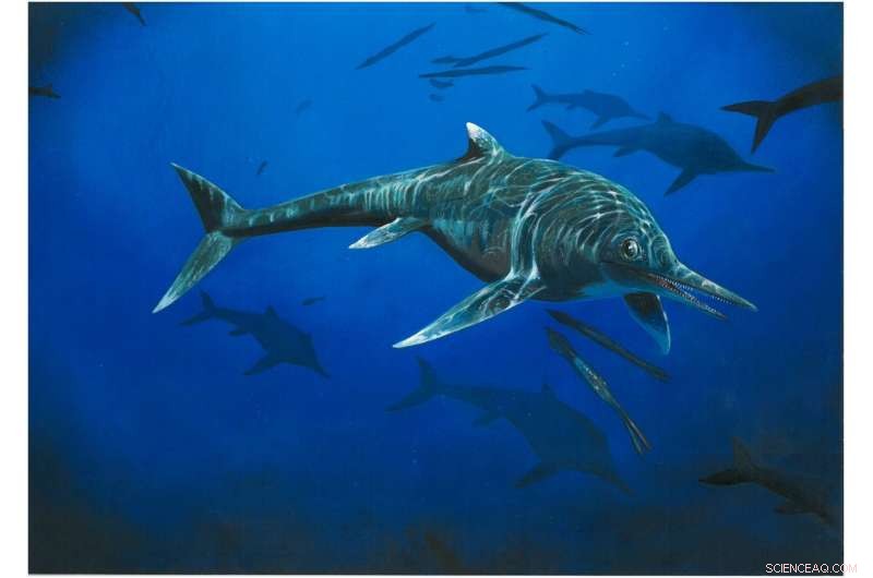 Rare 200‑Million‑Year‑Old Ichthyosaur Found: Only Second Known Specimen