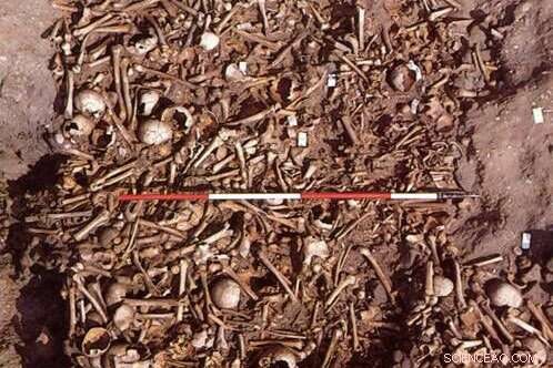 Radiocarbon Dating Confirms 9th‑Century Viking Mass Grave