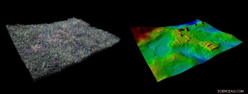 LiDAR Uncovers Hidden Maya City: El Zotz s Lost Treasures Revealed