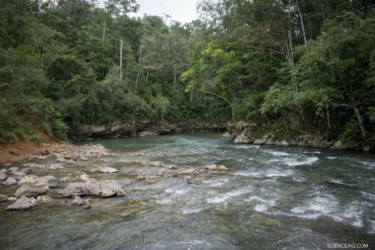 Scientists Reveal 60,000 Hidden Maya Structures in Guatemala s Jungle Using Laser Scanning