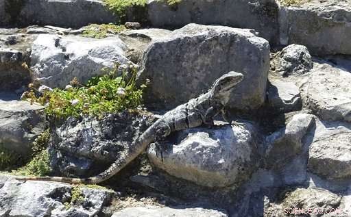 Exploring Mexico’s Iconic Pyramid Cities: A 12-Day Archaeological Journey