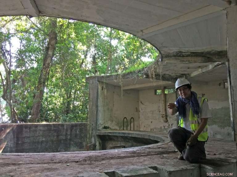 Singapore’s Rapid Expansion Threatens Pre-Colonial Heritage, Says Leading Archaeologist