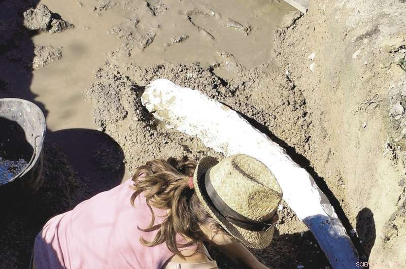 Tuscany Dig Reveals Neanderthals Used Fire to Craft Tools 171,000 Years Ago