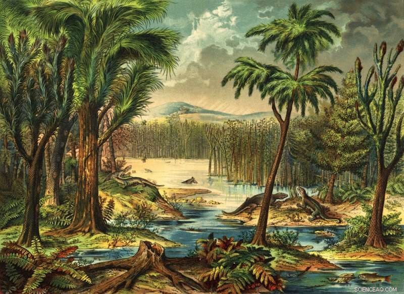 307‑Million‑Year‑Old Rainforest Collapse Shaped Early Land Vertebrate Evolution
