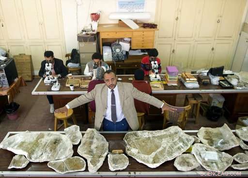 Egypt’s Rare Dinosaur Discovery Signals Potential for More Finds