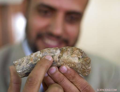 Egypt’s Rare Dinosaur Discovery Signals Potential for More Finds