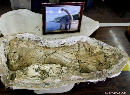 Egypt’s Rare Dinosaur Discovery Signals Potential for More Finds