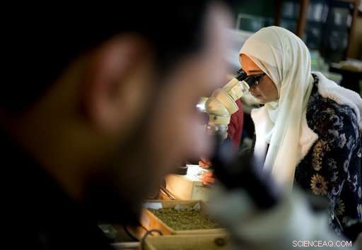 Egypt’s Rare Dinosaur Discovery Signals Potential for More Finds