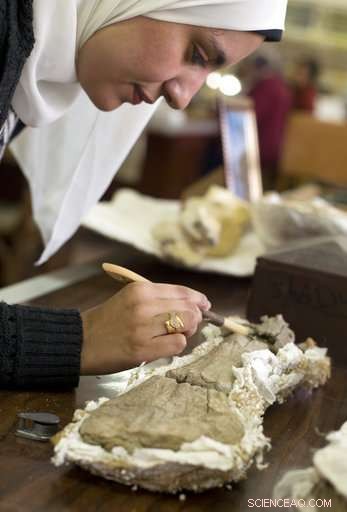 Egypt’s Rare Dinosaur Discovery Signals Potential for More Finds