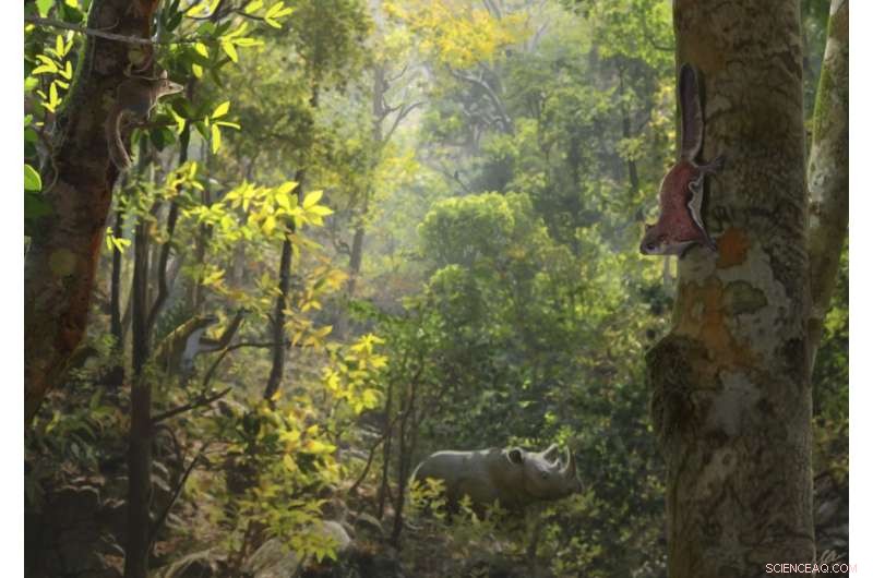 12 Million-Year-Old Climate Shift Triggers Iberian Peninsula Rodent Migration