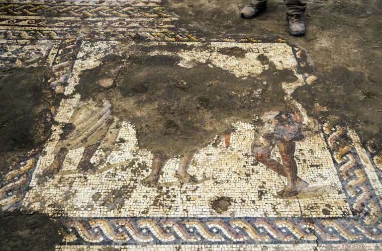 Rare Roman Mosaic Discovered in Ancient Caesarea by Israeli Archaeologists