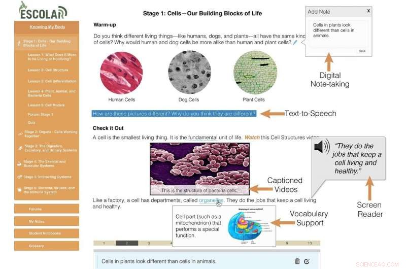 Online Learning Tools Boost Science Literacy Among Struggling Middle School Students