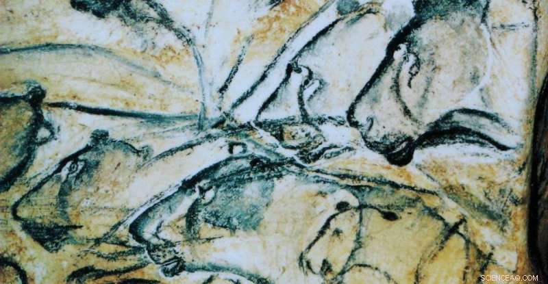 Early Modern Humans  Drawing Skills May Reflect Advanced Hunting Techniques