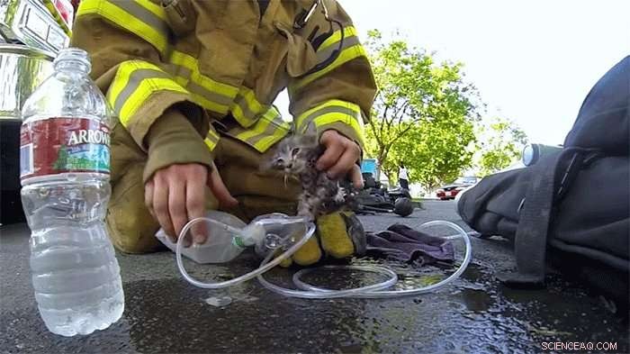 When Timing Matters: How Marketers Can Encourage Consumers to Share Video Content