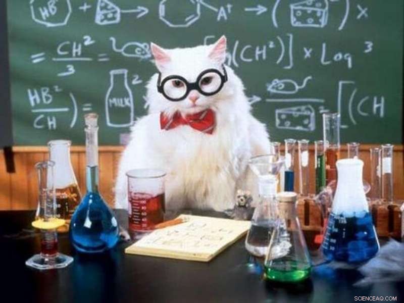 Unveiling the Academic Roots of Internet Memes