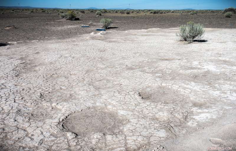 43,000-Year-Old Columbian Mammoth Tracks Discovered in Oregon s Ancient Dry Lake Bed
