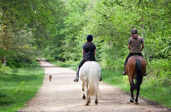 Riders Seek Improved Bra Support for Comfort and Confidence