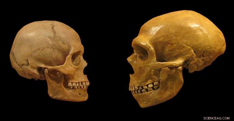 DNA Unlocks Surprising Insights into Our Ancient Ancestors