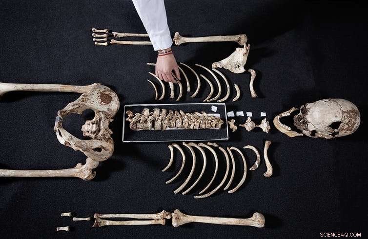 DNA Unlocks Surprising Insights into Our Ancient Ancestors