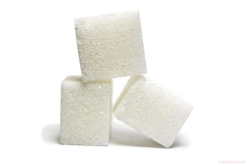 New Study Refutes Sugar Industry’s Alleged Role in Blaming Dietary Fat for Heart Disease