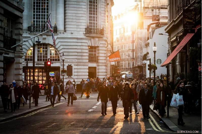 Limited Impact of Diversity on Group Prediction Accuracy