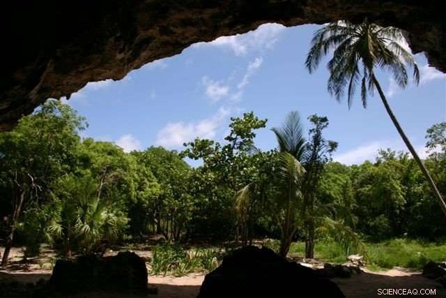 Genetic Study Reveals Taino Ancestry Persists in Modern Caribbean Populations