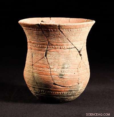 Ancient DNA Reveals the Migration History of Bell Beaker Herders